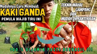 CARA PALING SEMPURNA MEMBUAT KAKI GANDA DURIAN