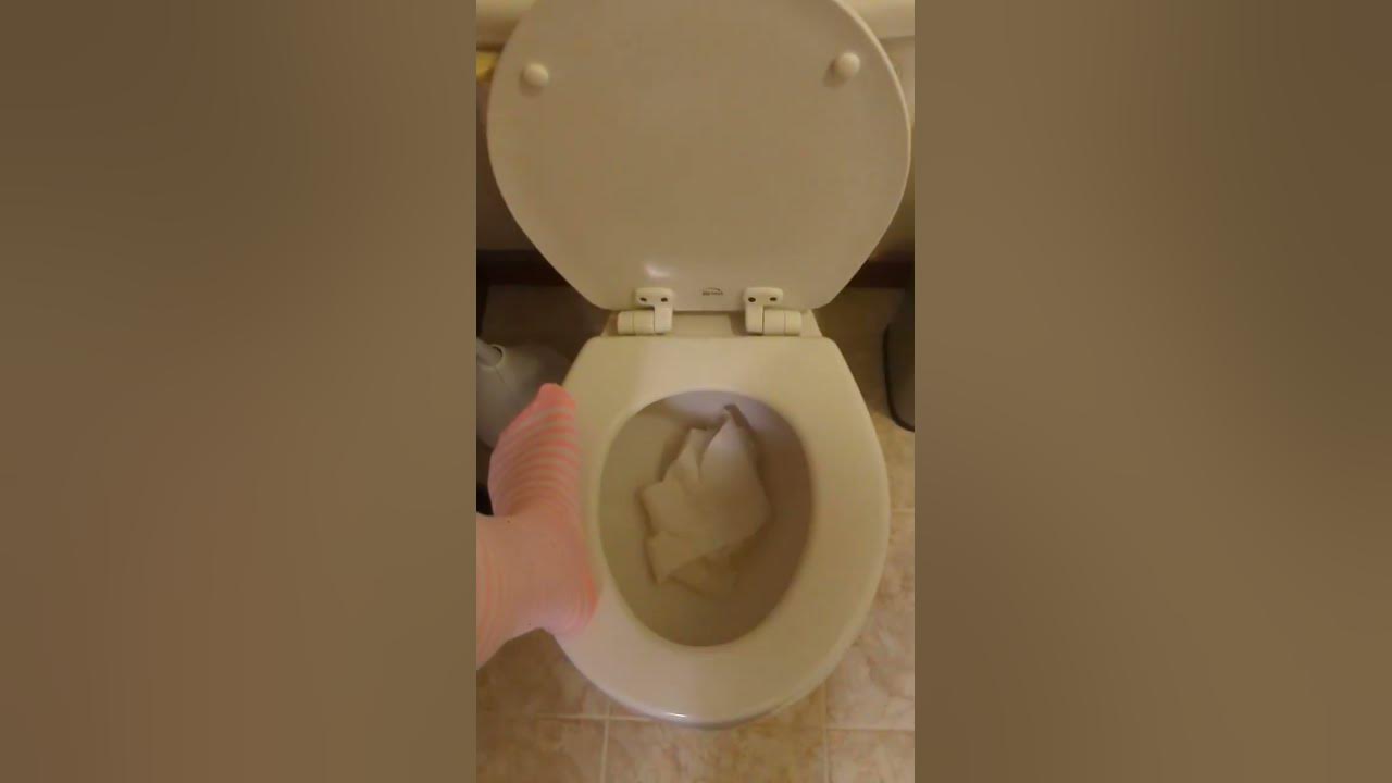 colby aquasource toilet