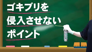 【ゴキブリ対策】業務用ですが女性にも簡単！！スプレーするだけ、ゴキブリを家に侵入させないポイントを教えます。