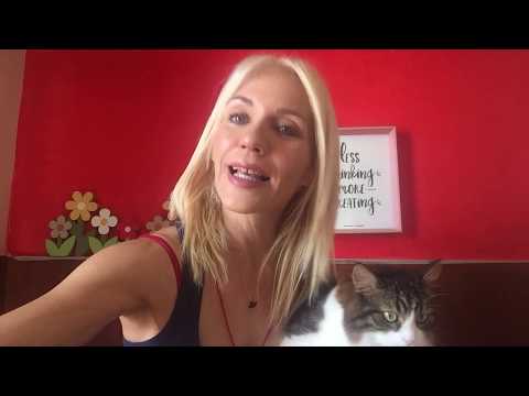 Βίντεο: Φροντίδα για μεγαλύτερες γάτες