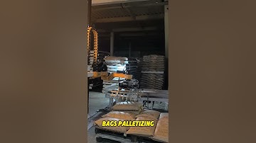 Bag Palletizing😎 #palletizer #palletizingrobot #manufacturer#robot#automation#depalletizer #stacking