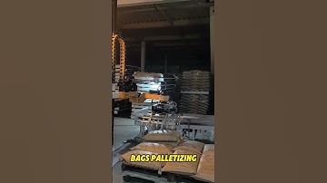 Bag Palletizing😎 #palletizer #palletizingrobot #manufacturer#robot#automation#depalletizer #stacking