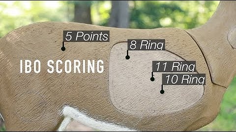 How to Score 3D Targets (IBO and ASA Scoring)