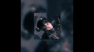 billie eilish - i didnt change my number (sped up)