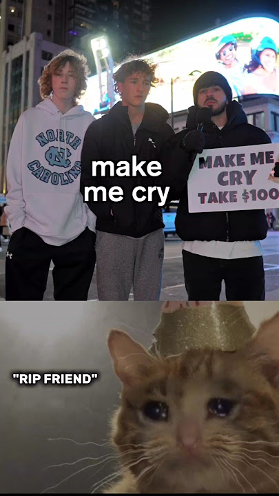 Download lagu Try not to 😢🥀 #sad #cat #emotional