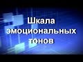 Вячеслав Богданов: Шкала эмоциональных тонов в продажах и жизни - тренинг по продажам