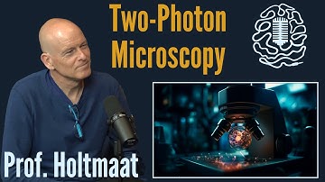Two-photon Microscopy and Calcium Imaging. Tools to study the functioning brain