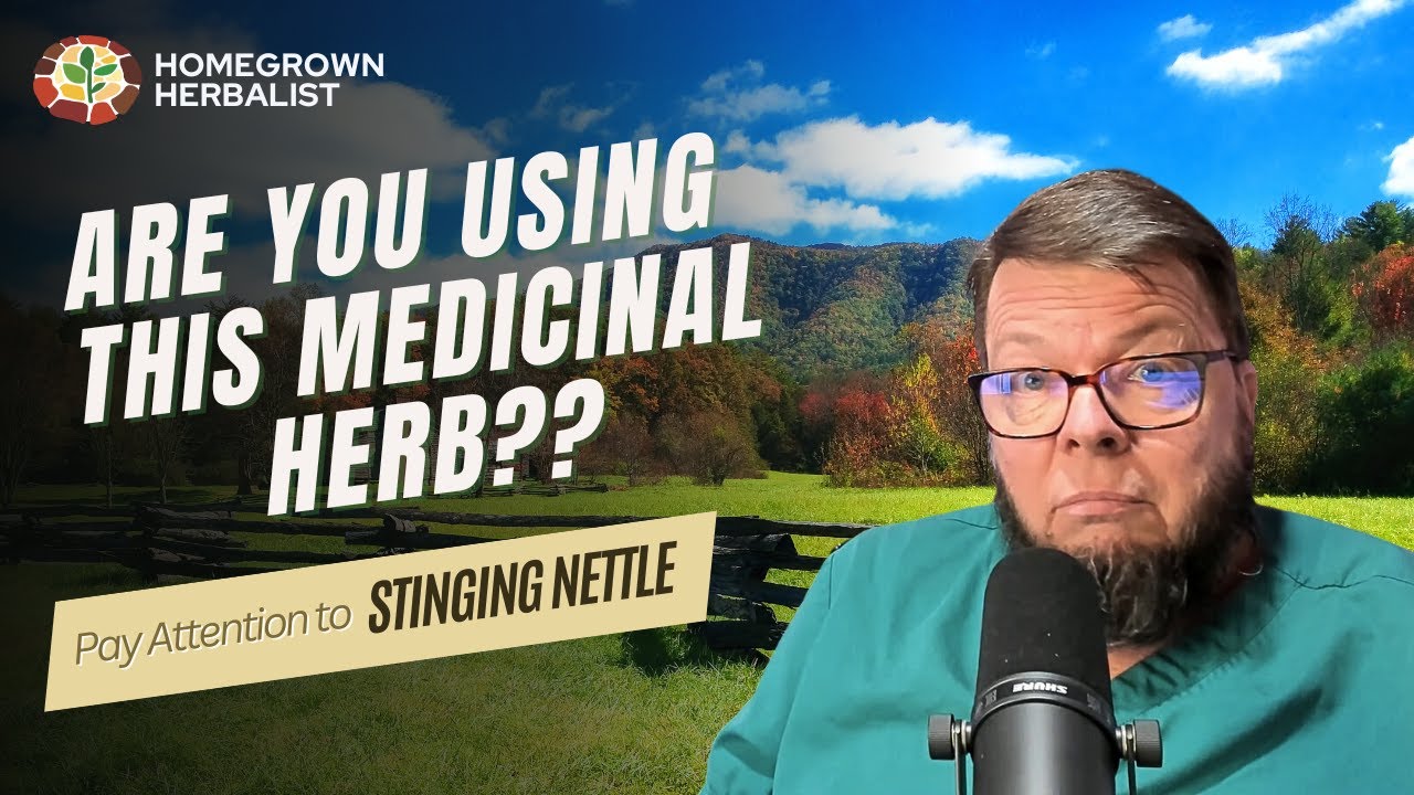 Удивительная лечебная ценность неприятного сорняка — Всё о крапиве двудомной