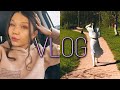 vlog ФОТОСЕССИЯ | КОВРИК ДЛЯ БЛИЗНЕЦОВ | ПОХОД В ГРУЗИНСКИЙ РЕСТОРАН