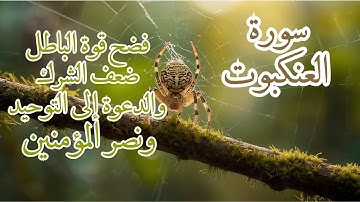 🕷سورة العنكبوت|| راحة نفسية بصوت من السماء مريح و يدفعك للتدبر و التأمل -تلاوة هادئة😔نصر المؤمنين💓