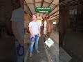 Dr. B talks barn energy after the horses get adjusted 💚