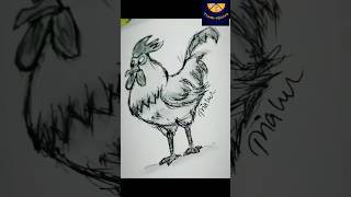 Quick and Easy Chicken Drawing Tutorial shorts chicken funny art satisfying