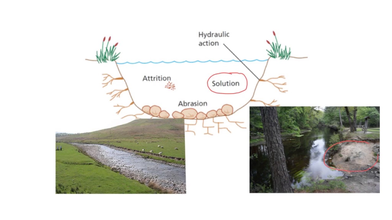 Stream Processes