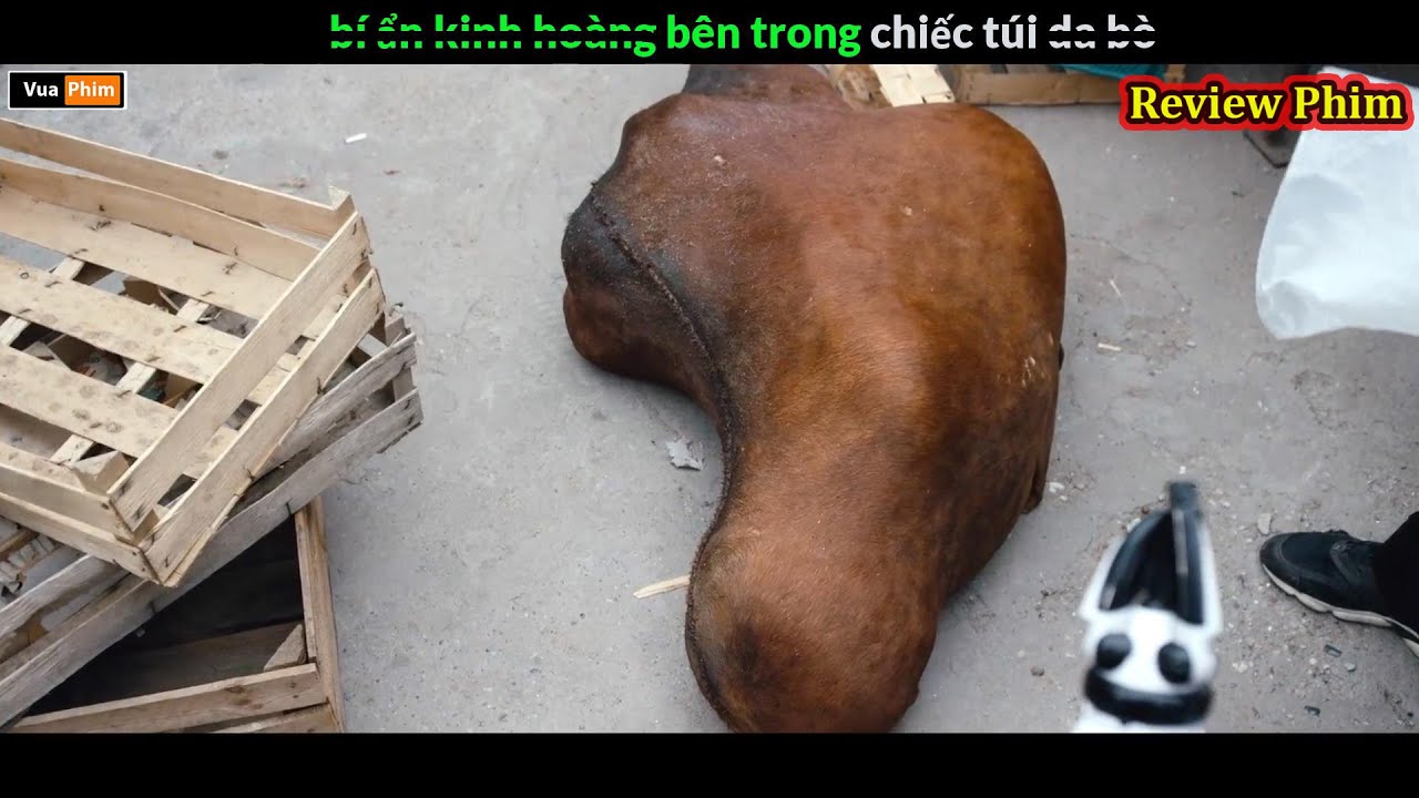 ⁣bí ẩn Kinh H.oàng bên trong chiếc túi D.a Bò kì lạ - Review phim hay