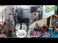 ربنا يجعلها عاده وتفضل فى الذياده 🐄عجل لله