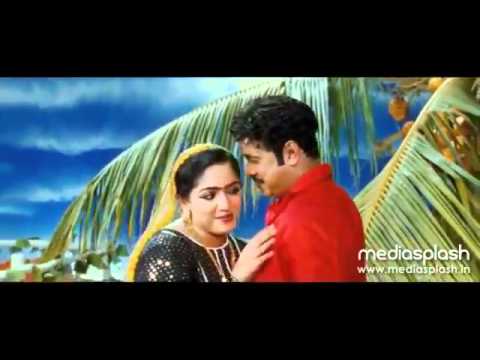 vellaripravinte changathi song pathinezhinte