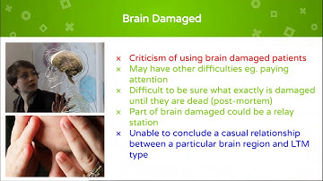Evaluating Types of Long Term Memory | Procedural, Episodic and Semantic | AO3 A Level Psychology