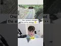The timing was actually flawless 😭💥 #shorts #funny #trending #viral