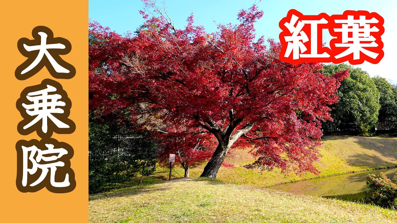 autumn-leaf-viewing-in-former-daijoin-garden-nara