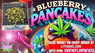Trying a Budget THCa Flower Zip! Mrs Dank Flamingo Review!!