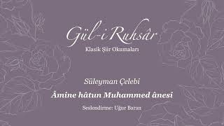 Gül - I Ruhsâr
