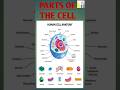 HUMAN CELL || STRUCTURE OF THE CELL // PARTS OF THE CELL #biology #humancell# bsc nursing