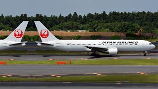 Japan Airlines 767-300ER l Airlines Painter