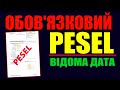 Тепер УСІМ! Обов&#39;язковий PESEL для українців у Польщі!