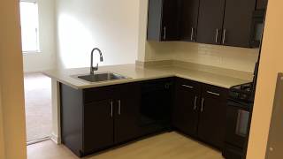 1 Bedroom Loft - 807 Sq. Ft. #3451