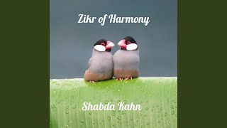 Allah Chant (feat. Pandit Pran Nath & Terry Riley) - Shabda Kahn