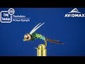 How to tie the Flashabou Prince Nymph | AvidMax Fly Tying Tuesday Tutorials