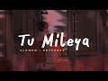 Tu Mileya Darshan Raval Slowed Reverbed Lofi Version mp3