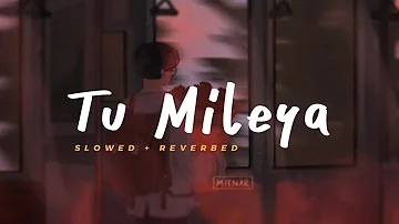 Tu Mileya - Darshan Raval || Slowed Reverbed (Lofi Version)