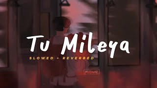 Tu Mileya - Darshan Raval || Slowed Reverbed (Lofi Version)