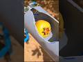 **"How to Make a Tool for Picking Fruit from Tall Trees: Top Tips for Easy Harvesting!"**