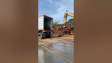 HR TRIMMINGS (SCRAP) CONTAINER LOADING FOR EXPORT TO PAKISTAN