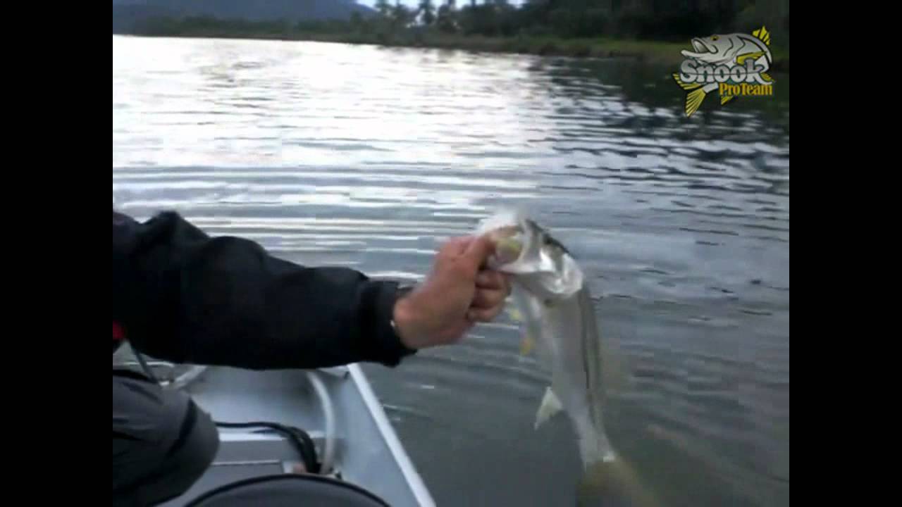 Pesca de robalo - Guilherme Almeida (guia de pesca SC) snookproteam