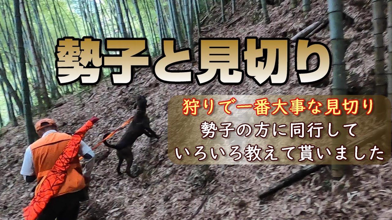【勢子と見切り】狩りの前の見切りを勢子の方に見切りを教わる！【イノシシ狩り】