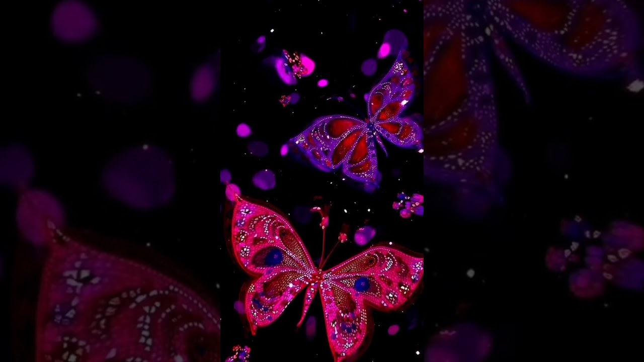 Beautiful nature butterfly 🦋 Status Video||With Love Song 