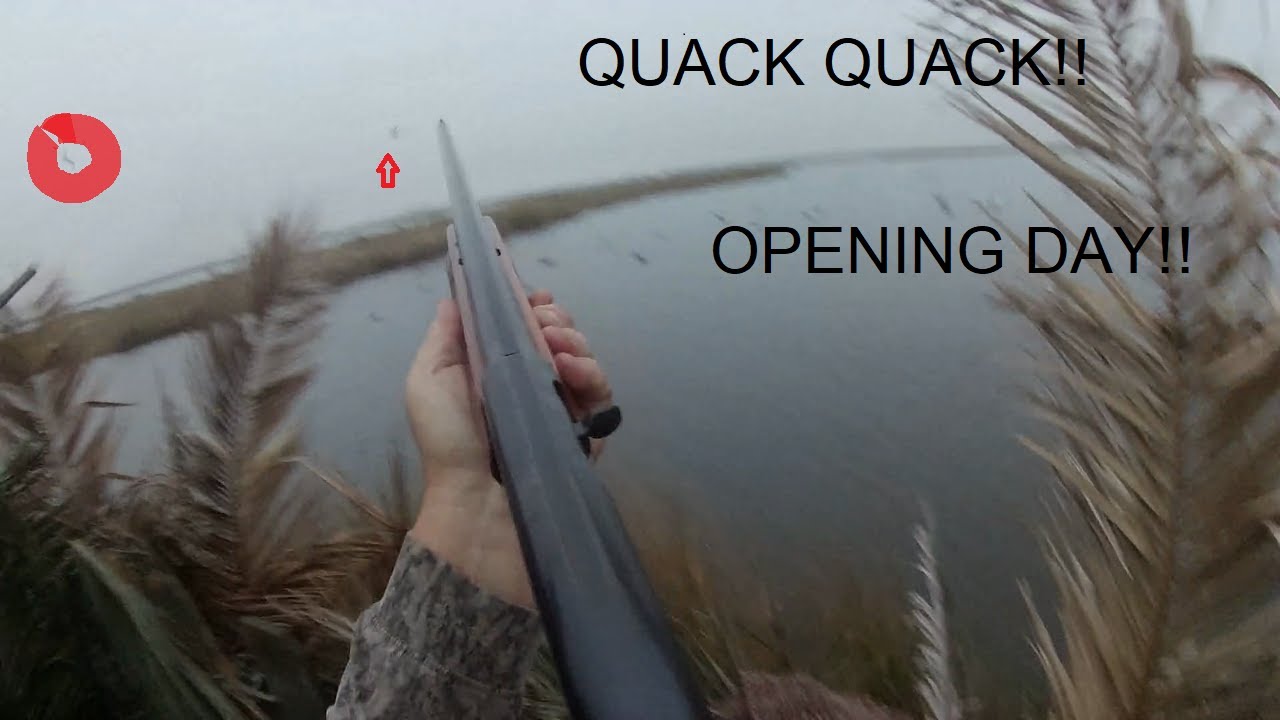 Opening Day Louisiana Duck Hunting Season!! Coming in Fast!!! YouTube