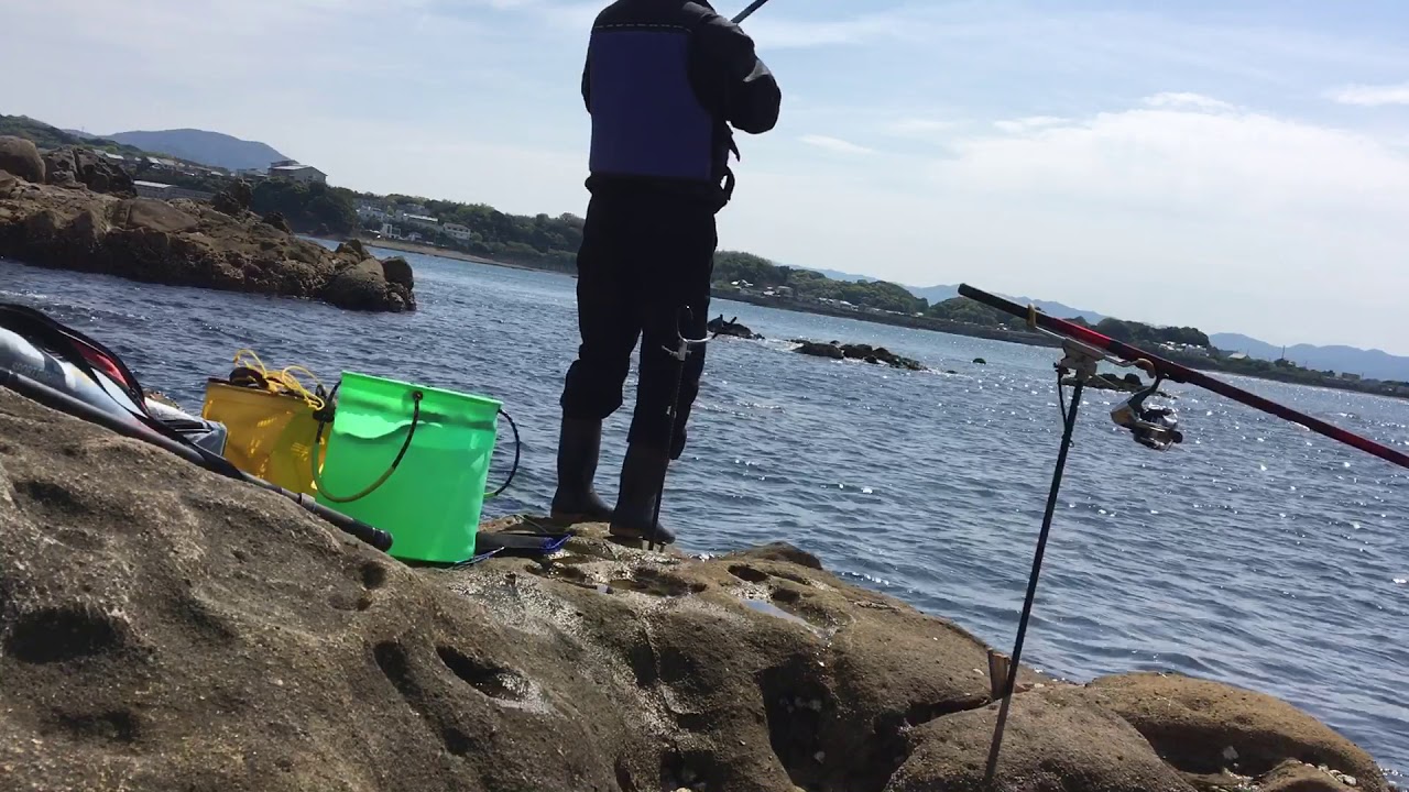 アオリイカ の ヤエン 釣り