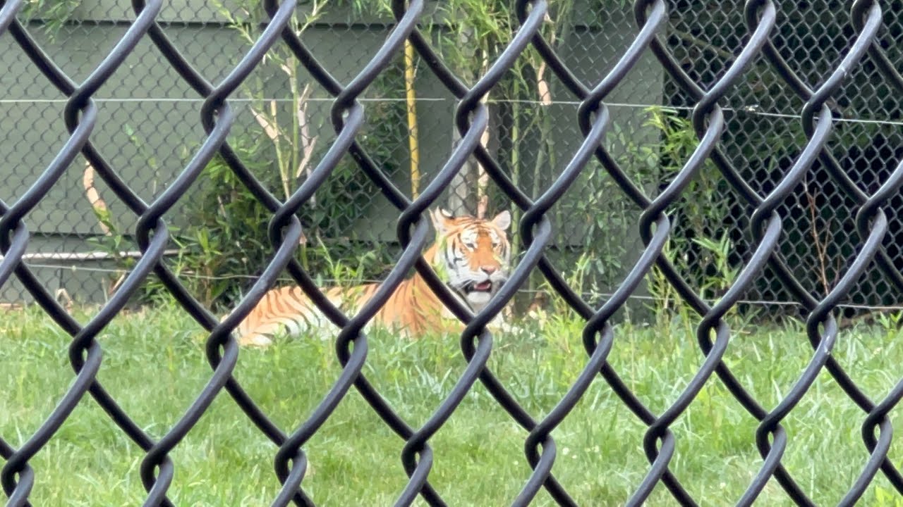 Virginia State Park Zoo Natural Bridge Safari Park Episode 2