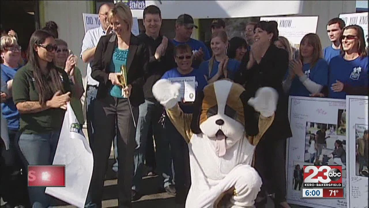Grand Opening of the Kern County Animal Services new shelter - YouTube
