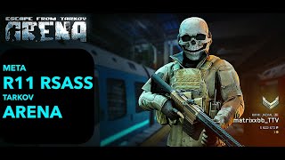 Escape From Tarkov Arena | Marksman Custom preset | Meta R11 RSASS Build