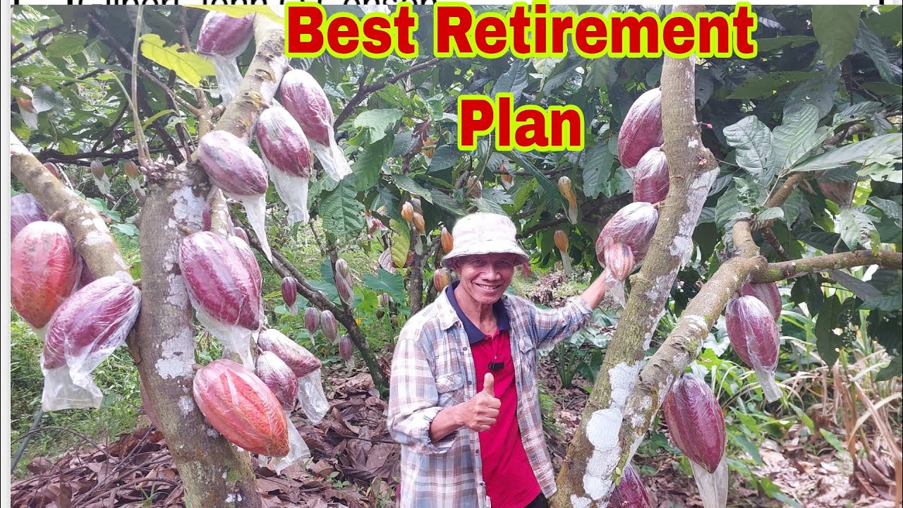 Goverment Employee, Retired na pero Kumikita ng 48,000 in 2 weeks sa Cacao