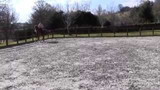 Ollie Canter
