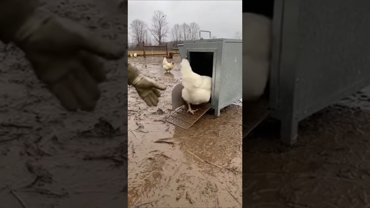 This Looks Normal. It Isn’t. 👀 