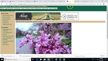 Create a Dashboard with Kafka Topics, Set, Spring Boot, and
