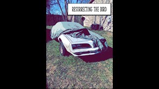 77' Firebird/Trans Am: Introduction and Clean Up