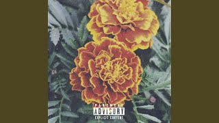 Marigold (feat. Iceberg Pat)